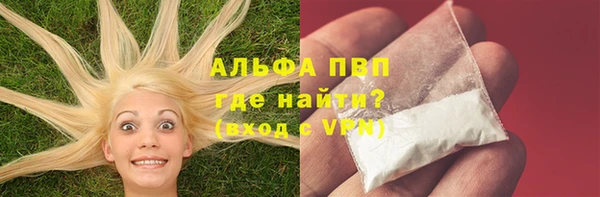 хмурый Алзамай