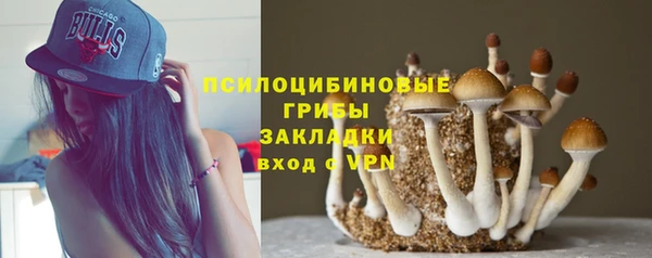 твердый Алексеевка