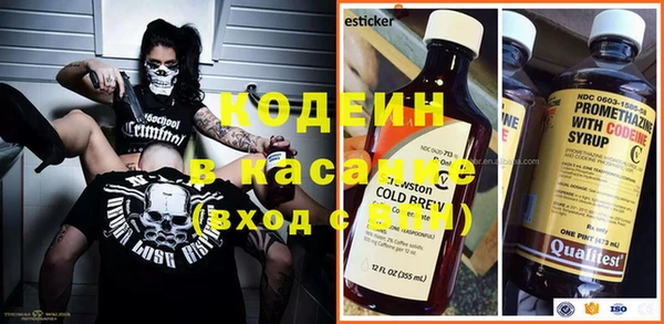 хмурый Алзамай