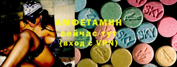 твердый Алексеевка