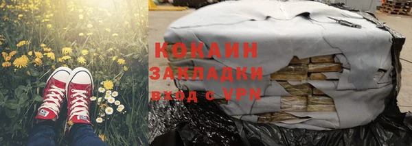 хмурый Алзамай