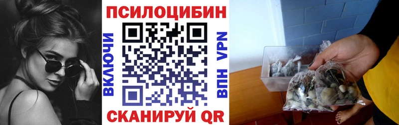 Псилоцибиновые грибы мицелий закладка Калтан